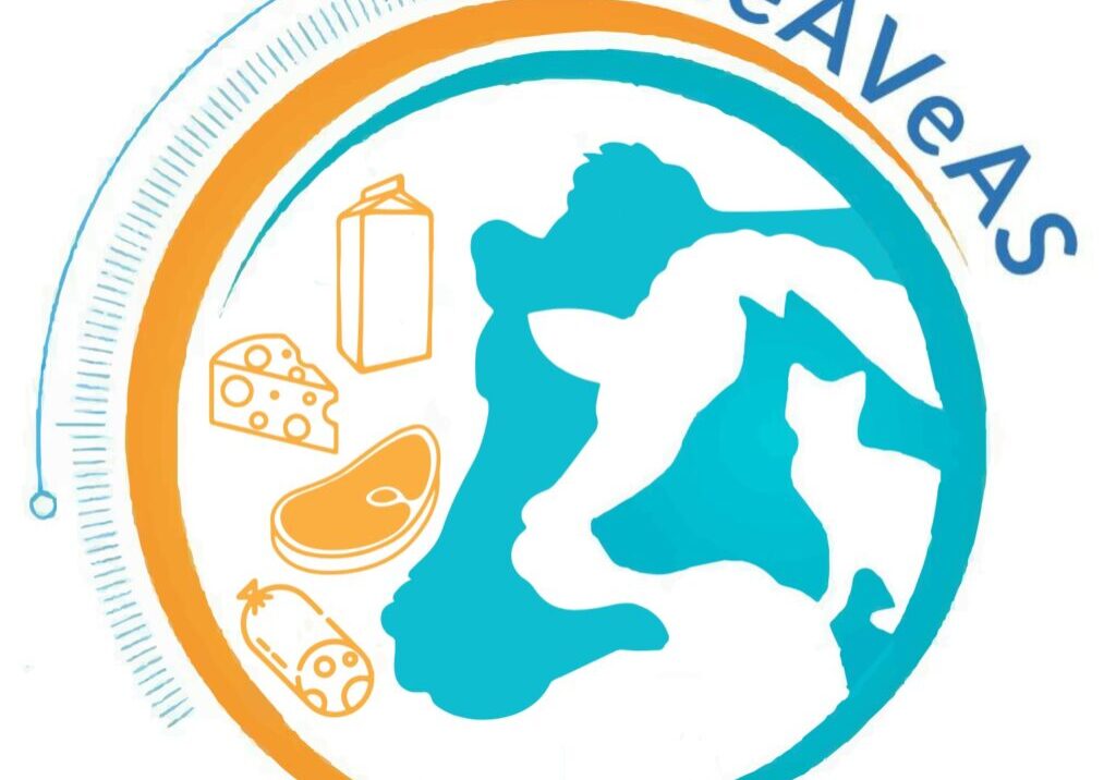MEAVEAS logo