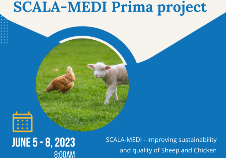 The 2nd Annuel Meeting of SCALA-MEDI Prima project, (1)